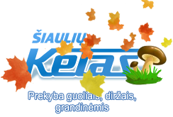 Šiaulių ketas logo